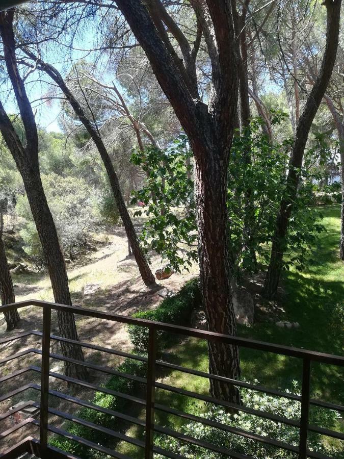 El Mirador De Bacha Apartamento San Martín de Valdeiglesias Exterior foto